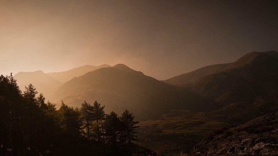 A stylised photograph of the Welsh mountains, dark and brooding with golden light and woodland in the foreground.